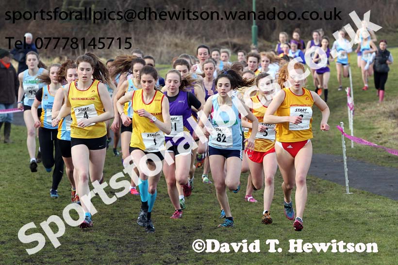 Inter Counties Schools Cross Country, Temple Park, South Shields. Photo: David T. Hewitson/Sports for All Pics